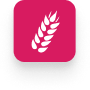 Wheat Icon