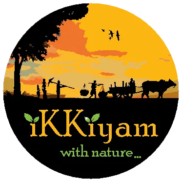 Ikkyam