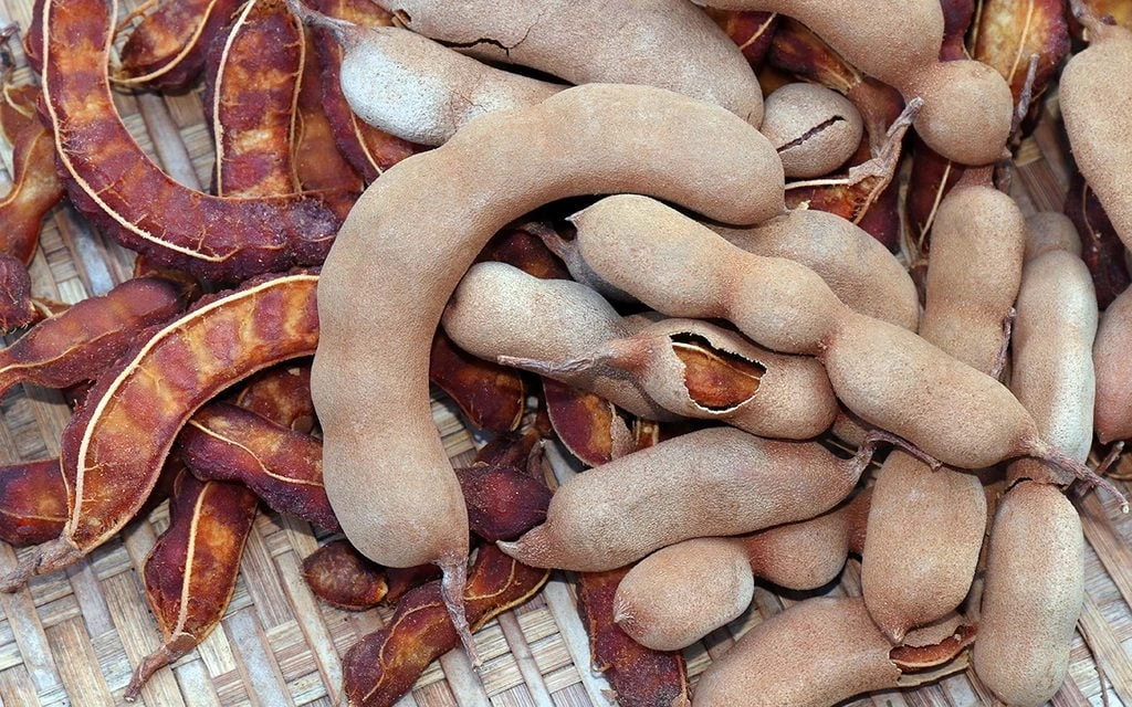 Pot Tamarind