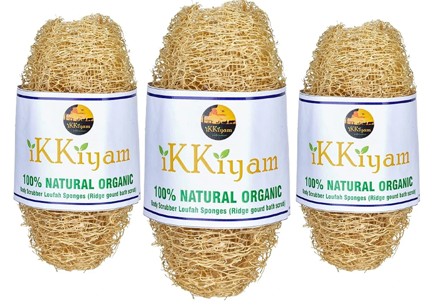 Natural Body Loofah Ridge gourd Scrubber | Bathing sponge (Peerkangai scrub)