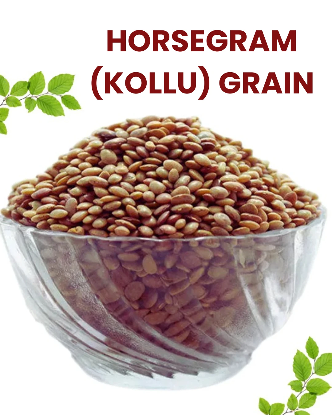 Horsegram (Kollu) Grain